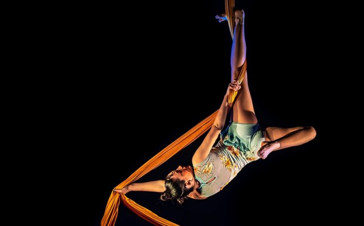 SvilArt Aerial Acrobatic – Lumina